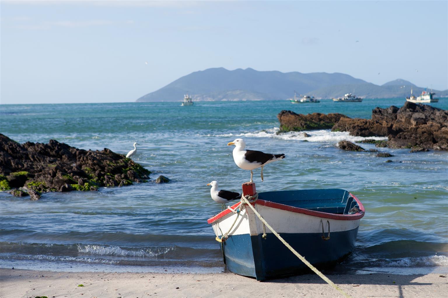 Hotel Oasis Cabo Frio